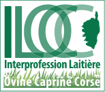 Logo Couleur Interprofession Laitière Ovine Caprine Corse